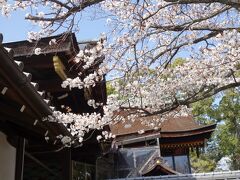 20210326-6 京都 ちょっとだけ御香宮神社にお参りを