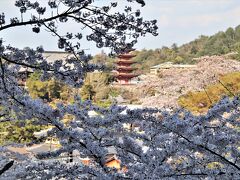 ２０２１ 広島で思い出作り！ その①お世話になった厳島神社へ