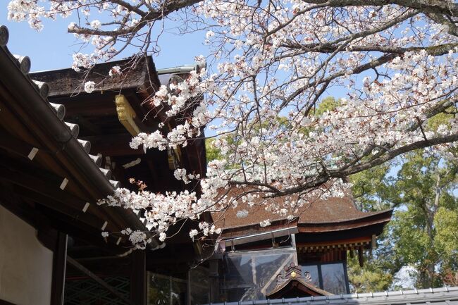 大手筋商店街を東に抜けて、お山の方へ向かいますが…途中にお宮さんですね。御香宮神社。ちょっとだけお参りして行きますか。