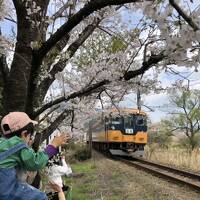 やっと泊まれた川根温泉ホテル　後半