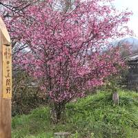 9-旧甲州街道 藤野駅～野田尻宿（3/28 10.5km 23000歩 ）