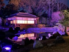 桜満開予想日の京都詰め込み30時間-2　NAKED FLOWERS－桜－世界遺産・二条城　AWOMB