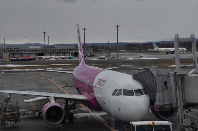 　2021年3月20日から22日にかけて北海道へ行ってきました。<br />　第一目的は、鉄道情報サイトレイルラボの乗りつぶし「鉄レコ」の乗車距離を伸ばすことです。<br />　2021年3月のダイヤ改正によって大幅に駅が廃止され乗り直しが必要となった宗谷線をメインに、時間が許す限り鉄道に乗ってきました。<br />　新千歳空港駅に到着して、ピーチ462便で中部国際空港へ向かいます。