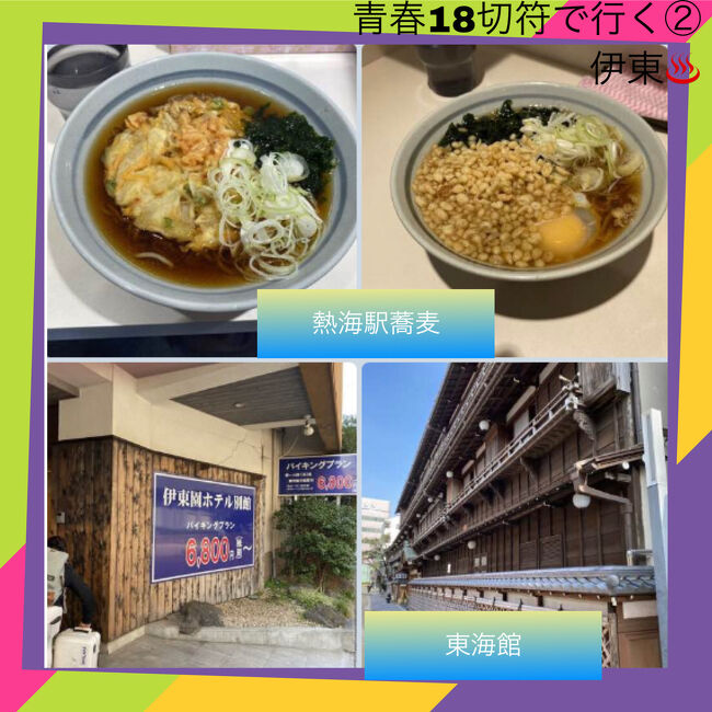 焼津さかなセンターで念願のデカ盛り豪快はみだし丼を食べて一路、今宵の宿伊東園グループのホテルに向かいます。明日の予定は帰りの列車の時間のみ決めて行き当たりばったりで、旅行を進めます。