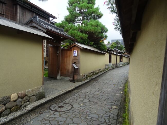 前回は、武家屋敷周辺をひたすら南下して歩いてきました。<br />そろそろ疲れてきましたが、まだしっかりと歩きますよー!