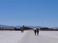 大塩湖サリーナス・グランデス 標高4000m超え 520km走行の日帰りツアー