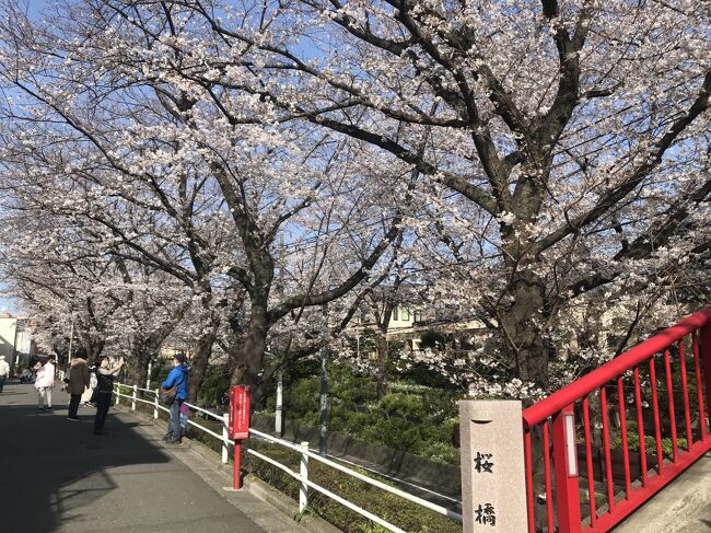 そろそろ桜も見ごろ<br />ちょっと桜でも見に行こうか<br />去年はゆっくり桜を見ることもできなかったし<br />家の近くを散歩したり、多摩川の桜の名所に自転車で行ってみたり<br />