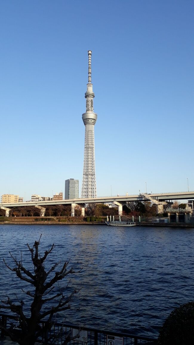 浅草寺、浅草神社とお参りして御朱印を頂いて,隅田川河畔に出る。対岸にスカイツリーが見えるわけだが、大寒桜のピンクが美しく急遽フォトタイム。快晴とはいえ夕方に東武伊勢崎線の線路下の墨田リバーウオークを渡って押上駅まで行くのはちょっと肌寒いので、浅草駅に戻ることにした。歩いていくうちにアサヒビールのキラキラのビルの壁に夕映えのスカイツリーが写っていることを発見！角度によっては見えなくなるので、立ち止まってまた撮影タイム。東京都出身の3人は3月のこの日、完全におのぼりさんになり切っていた。～綺麗でしたねえ～。緊急事態宣言の繁華街は店じまいが早い。お茶をするにも甘味処はもう閉店モードで結局雷門脇のスタバしか開いていなかったので、そこで身体とお腹を温めてそれぞれの家路へ。