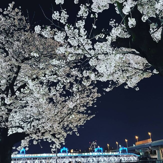 　お花見も車内から楽しむならばと昼は近場をぐるりと走って来た後、いつもの友人が春の嵐の前に夜桜お花見ドライブに誘ってくれました。ライトアップはされていませんでしたから街灯の明るさを頼りに撮影して来ました。よろしかったら目を通してみて下さい。