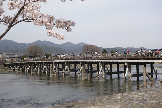 宿のオーナーのお屋敷にお呼ばれしています。国鉄嵯峨嵐山駅から近いらしい。んじゃ、ちょっとだけ早く出て、嵐山の桜でも。ちうか、ニュースで見た感じ、人出を見に？