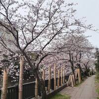2021.3 伊東温泉で1泊、城ヶ崎海岸・伊豆高原で桜を見て来た2日間（前編・伊東温泉）
