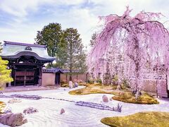 ＊春爛漫の京都へ行こう♪＊～白川巽橋～高台寺～K36 Rooftop ～ザ ホテル青龍 京都清水宿泊の母娘旅～