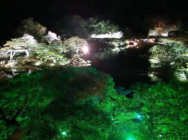 2021年春、コロナ下での桜のシーズン。<br /><br />とはいえ感染対策に気を付けて桜を見に行くことにしました。<br />3週連続の第1週目。<br /><br />香川⇒徳島⇒高知と移動して、桜や久しぶりの四国を楽しみました。<br />移動手段は、最初は値段を考えてバスを考えていたのですが、最終的には感染対策を優先し、レンタカーを選択しています。<br /><br />この旅行記は初日。<br />朝早くのジェットスターで香川に入り、うどんや屋島からの景色を楽しみ、桜は昼間・夜間ライトアップの栗林公園です。