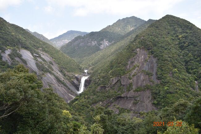 ★すこし晴れました！2泊3日屋久島の旅Vol-3千尋（センピロ）の滝、白谷雲水峡、に行きました。