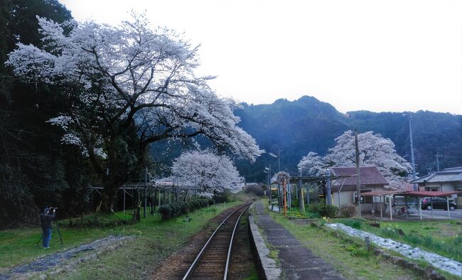 鉄印巡礼を兼ねた岐阜ローカル線　乗り鉄の旅（長良川鉄道・樽見鉄道・愛環・明知鉄道）