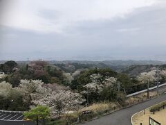 2021年03月　静岡タウン旅行　日本平