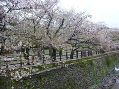 佐賀県　佐賀市・武雄温泉・嬉野温泉③日目