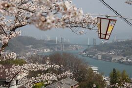 ２０２１ 広島で思い出作り！ その③　桜満開の尾道散策！