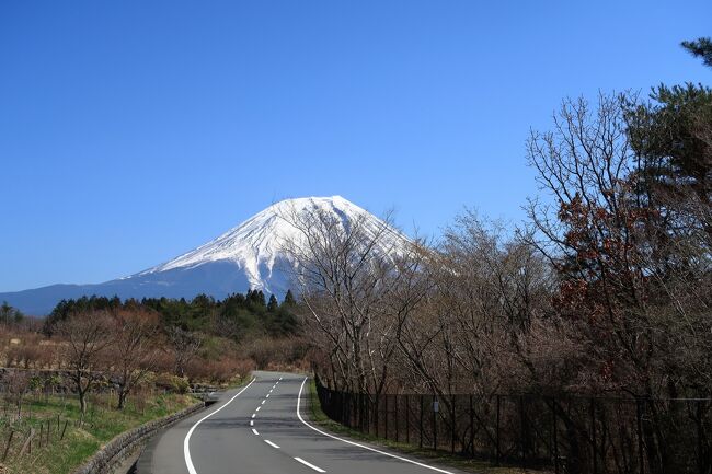 ゴルフコースそばの朝霧自然公園へ立ち寄りました。<br />ここは駐車場と原っぱしかない感じで富士山を見る<br />だけでした。<br />公園の看板も何もな出てなかったので、帰ってきてから<br />朝霧自然公園というとこだと知りました。<br />公園としてもなにもなく、ほんとに自然だけだという<br />公園でした。