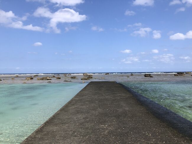 初めての奄美大島は、補助が出て4割引、宿込みで3万円で行けるJALのダイナミックツアーを利用することに。このお値段なら大阪行く感覚で行ける!ってことで即決。<br /><br />旅仲間のSさんと行くことになりました。<br /><br />3月まで奄美へJALマイレージ会員の利用者は奄美群島航空・航路運賃軽減協議会の助成金が出て無料でPCR検査が受けられました。<br /><br />離島という環境と観光とを両立する良い制度(と思います。PCR検査の精度、来島者全員を網羅していないという点で完全性はないけれど、(来島自粛要請で経済が死ぬ事と比べた場合のバランスの良さという点で)申込が複雑で申し込んだのに検査しそびれました。<br /><br />具体的にいうと、JALのサイトで(フライト乗らなかった場合は費用請求されるので)クレジットカード情報や住所入力して申し込んだのでそれで終わりかと思ったら、別途メールが来てそのリンクから検査そのものを申し込む段取りとなっていたのにメールがスパム分類されて気がつかず、2ステップ目にいかなかった、という次第。<br /><br />この辺ワンストップにして欲しいなぁ、、、<br />結果的に検査しないで飛ぶ羽目になりました。