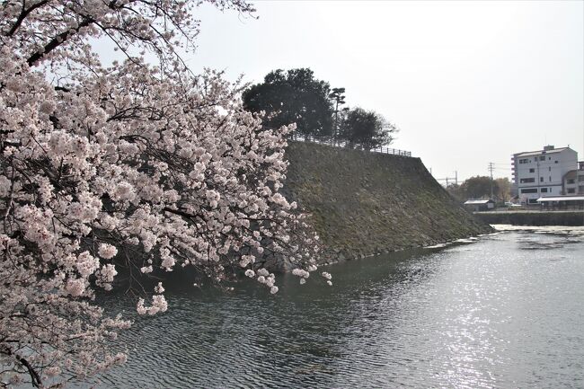 　思うところあって広島を離れることに。<br />海あり、山あり、川あり、島あり・・・自然に恵まれ、また適度に都会な街『広島』。<br />どこに行くにも、何をするにも近場に何でも揃っているコンパクトシティ。<br /><br />プラハ、パリ、ミラノ、フィレンツェ・・・かつて行ったヨーロッパの街、世界遺産のある街で生活してみたいものだと思っていた・・・<br />仕事の関係で広島へ、原爆ドーム、宮島と日常の中に世界遺産がある！<br />思わぬところで望みが叶った・・・<br /><br />ゴールデンウィークには東京に戻る。　<br />尾道散策の帰途、新幹線乗換じかんを利用して三原城跡へ。<br />三原城天守台跡は何と新幹線駅のコンコースと合体しているという一風変わった天守跡。<br />新幹線に乗るたびにここに立ち寄りたいと考えていたので、ここ訪問。<br />城好き＆鉄ちゃんには堪らん城＆駅だ！