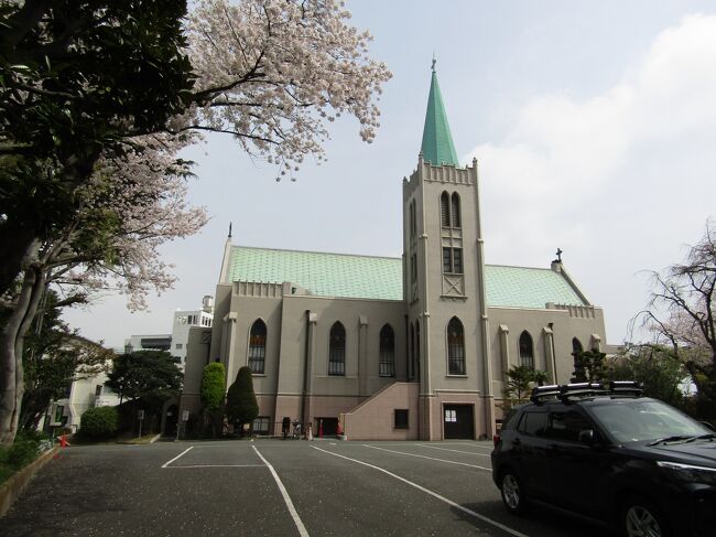 　横浜市中区山手町にあるカトリック山手教会の2本の枝垂れ桜（https://4travel.jp/travelogue/11683812）を確認することにし、横浜市営地下鉄ブルーライン伊勢佐木長者町駅から牛坂を上ってようやく辿り着いた。<br />　残念な結果である。2本の枝垂れ桜は一部が開花しただけでもう葉桜だ。このように、今年は山の上や丘の上の枝垂れ桜が不発に終わっていることがあるのは、あの令和元年（2019年）の2度の台風15号・19号の影響が残っているためのようだ。その年は葉が落ち、秋にはポツポツと開花したというのだ。その翌年の2020年は上手く咲けなかったという。その影響が今年（2021年）まで及んだとも考えられようか？そう思うと、昨年（2020年）秋に横浜市栄区鍛冶ヶ谷4にある鍛冶ヶ谷北公園や飛石で何本かの桜が開花していたのも異常気象だけではなく、台風の影響が残っていたのかも知れない。<br />　仕方がないので、先日（3/26）には満開であったにも拘わらずに写真を撮らなかったソメイヨシノを写す羽目になった。<br />（表紙写真はカトリック山手教会聖堂）