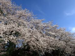 城山公園(神奈川県綾瀬市）へ・・・