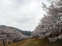 東秩父でお花を愛でて＆歩いて