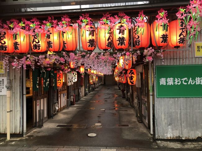 2021年03月　静岡タウン旅行　青葉おでん街と駿府城公園の夜桜