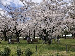 2021年03月　静岡タウン旅行　駿府城公園