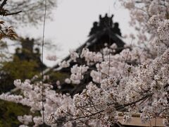 20210330-1 京都 醍醐寺 其の一は、三宝院の庭園