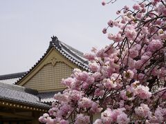 20210330-2 京都 醍醐寺 其の二は、霊宝館の宝物とお庭の桜と