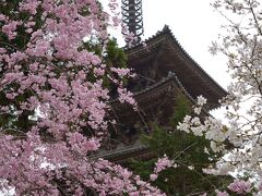 20210330-3 京都 醍醐寺 其の三は、五重塔とか伽藍の拝観