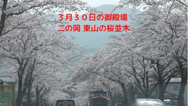 ３月３０日の御殿場二の岡・東山の桜並木の写真（動画）を撮ってきました。<br /><br />この週末が最後の見頃となると思います。<br />