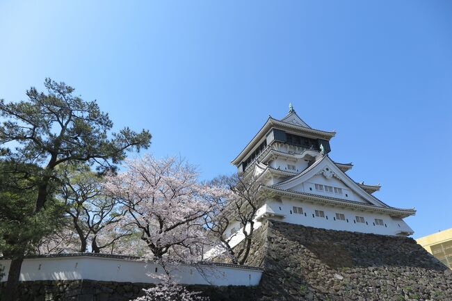 ようやく緊急事態宣言も解除され、どこか行きたいと夫婦で話していました。<br />もう飛行機は直前で高いので、車で行ける範囲はどこだろうと。<br /><br />母も誘うと行くというので、思い切って以前一度チャレンジした、<br />福岡県へ車で行く事にしました。関西から片道6時間半かかりました。<br />また、今回、皆、初めての、佐賀県を訪れる事も目的の一つでした。<br /><br />ちょうど、桜の見ごろに合わせて行く事ができ、小倉城や大濠公園で<br />華やかな景色を楽しむ事ができました。<br /><br />ドライブしていても、山桜がそこここにありとても気持ちの晴れる<br />旅行になりました。<br /><br />食事もレベルが高く、おいしくてまた九州、絶対に<br />来たいと思いました。<br /><br />個人的には、佐賀県の唐津と、小倉のOCMのサンドウィッチが<br />とてもよかったです。<br /><br />総じて楽しい春の日の旅行でした。