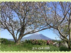 近場の桜が咲き始めたので撮ってみました