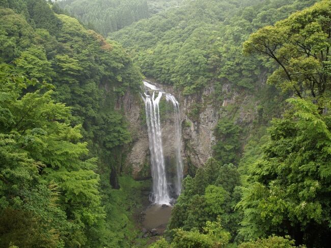 ２０１０年６月に大分県の滝めぐりをしました。大分県には「日本の滝百選」の滝が４箇所あり、うち震動の滝、原尻の滝はすでに訪問済みです。今回は残りの東西椎屋の滝をメインに、その周辺の滝めぐりが目的です。<br /><br />ところで、この大分県滝めぐりですが、どのような経緯で行くことになったのかがはっきりしません。通常、私の滝めぐりにはオフ会などの特殊な例を除いて、３パターンあります。１つ目は、日帰り滝めぐりです。基本単独で、日帰りですから近隣が多いですが、たまにはアプローチの長い滝にも行きます。２つ目は、妻との旅行で比較的お手軽な滝に行くパターンです。滝めぐりがメインではなく、あくまで旅行の道中で立ち寄れる滝があれば行くというイメージです。３つ目は、地方に出張した際に、仕事終了後に現地に残って滝めぐりをするパターンです。北海道や東北、九州などの遠方での滝めぐりはほとんどこのパターンです。普通に考えると３つ目のパターンですが、前日にどこで仕事をして、どこで宿泊したかなど全く記憶がないのです。しかも６月１３日は日曜日で、前日の１２日に仕事が入っていたことはほとんど考えられません。あるとするとゴルフコンペですが、２０１０年当時、私はゴルフはほとんどしておらず、地方でのゴルフコンペに参加することはありえません。それでも、写真の記録から、６月１３日に大分で滝めぐりをしたのは事実で、確かに行った滝の記憶は、すべてではないですがあります。最も可能性が高いのは、福岡か久留米あたりに宿泊し、レンタカーで大分の滝めぐりをしたということでしょう。<br /><br />東椎屋の滝の次は、日本の滝百選の東西椎屋の滝とともに「宇佐の三滝」と称される福貴野の滝です。福貴野の滝を見学するには、滝を上から見下ろすことのできる展望所と、滝壺まで行くことのできる２つのルートがあり、今回はそれら２つのルートを楽しみました。<br /><br />福貴野の滝滝見難易度：１<br />参考　滝見難易度０：道路から見える、１：片道徒歩５分以内、２：片道徒歩１５分以内、３：片道徒歩３０分以内、４：片道徒歩１時間以内、５：片道徒歩２時間以内、６：片道徒歩２時間以上もしくは２時間以内でも特別な装備が必要な場合など。私の旅行記ではほとんど出現することはないと思われる。<br />注意　滝見難易度はあくまで私の主観によるものであり、また季節や天候により難易度が上がる場合もあります。私の旅行記を参考にされて、「違うかったやんけ」とおっしゃられても責任は負えませんのでご了承ください。また、難易度が高い場合はできる限り単独行は避けるようお願いします。