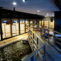 岐阜旅行2020①飛騨亭花扇