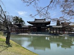春の京都～宇治・二条城