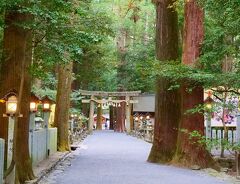 ハルの椿さん&#9825;伊勢国一の宮 猿田彦大本宮 椿大神社