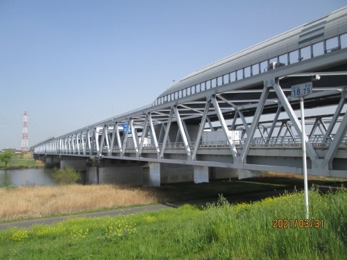 松戸市の上矢切・江戸川堤・菜の花