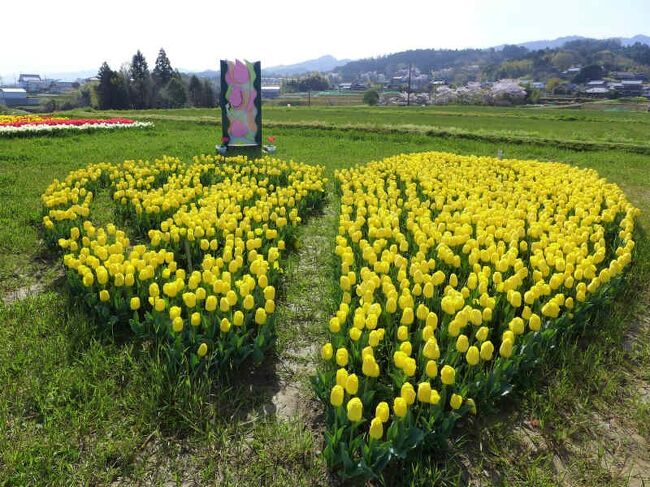 橋本市のチューリップ畑へ<br /><br />橋本市観光協会<br />https://hashimoto-tourism.com/<br /><br />花巡り<br />http://www.city.hashimoto.lg.jp/hashimototaikan/miru/flower/index.html<br /><br />恋のチューリップ畑<br />https://www.hashimoto-cci.or.jp/%E6%81%8B%E3%81%AE%E3%83%81%E3%83%A5%E3%83%BC%E3%83%AA%E3%83%83%E3%83%97%E7%95%91%E7%90%83%E6%A0%B9%E6%A4%8D%E8%BE%BC%E3%81%BF%E3%83%9C%E3%83%A9%E3%83%B3%E3%83%86%E3%82%A3%E3%82%A2%E5%A4%A7%E5%8B%9F/