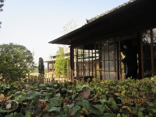 国の名勝にも指定された旧徳川昭武庭園（戸定邸庭園）。その庭園がある戸定が丘歴史公園にあり、訪れる方たちの目を楽しませてくれるのがベニシダレザクラです。明治17年に幕府最後の将軍徳川慶喜の弟、徳川昭武が建設し、後半生を過ごしたのが戸定邸です。ここ戸定邸には慶喜公もたびたび訪れ、趣味の狩猟や写真を楽しまれました。徳川家の住まいが公開されているのは全国でもここだけです。昭和26年に市に寄贈され、平成3年に周囲の敷地2.3ヘクタールが「戸定が丘歴史公園」として整備され一般公開されました。昭和61年、芝生を使い、洋風を取り入れた戸定邸の庭園は県の名勝に指定され（平成27年3月10日に国の名勝に指定されました）、平成18年7月には、明治前期の上流住宅の姿を伝えていることから国の重要文化財に指定されました。平成30年(2018)年6月から公開が始まった東屋庭園からは、空気の澄んだ日に富士山が見えます。公式ホームページより