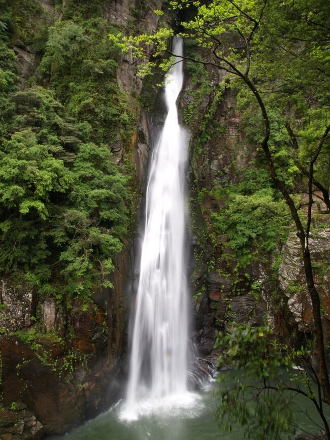 大分県滝めぐり（４）　滝メグラーが行く１０２　日本の滝百選・西椎屋の滝と玖珠町のお手軽滝