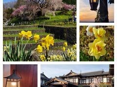 ～桜の花でいっぱいの奈良へ～　前編　＜又兵衛桜・二月堂夕景と奈良ホテル＞
