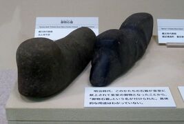 2021春、名古屋市博物館(2/9)：石器時代、縄文土器、深鉢、縄文人骨、御物石器、船形木棺