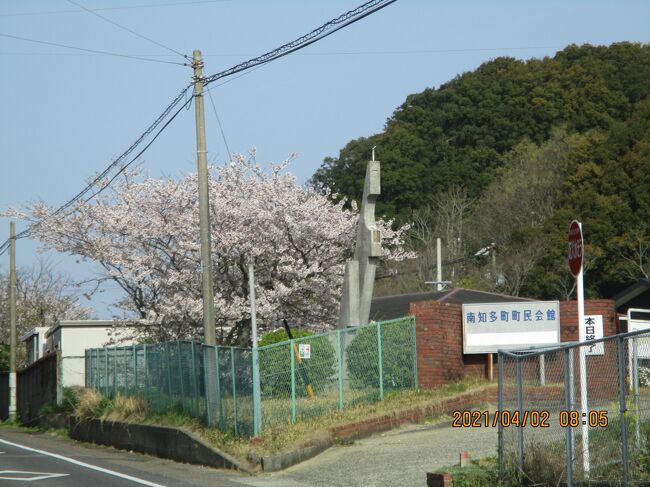 豊浜4月往復の海岸<br />写真は210402-0805.内海海岸が見える手前。満開のサクラが1本。<br />0325(木)0402(金)0407(水)0412(月)0418(日)0421(水)0423(金)0424(土)0430(金)0501(土)