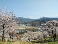 山梨２０２１桜　【３】大法師公園