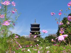 吉備路から倉敷へ　　