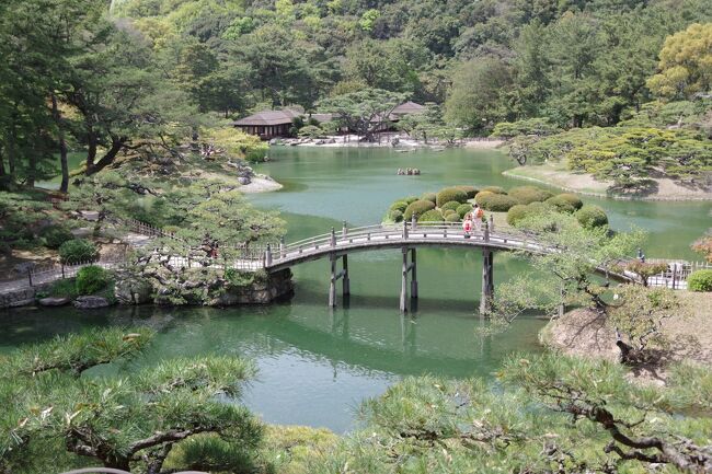 9:30からのコーラスの練習が終わって、栗林公園へ桜を見に行ってきました。<br /><br />お目当ては、桜は勿論ですが、掬月亭のお抹茶と料亭二蝶さんのお花見弁当でした。<br /><br />そして飛来峰からの眺めも見逃せません。<br /><br />お天気に恵まれて満開の桜を堪能できました。